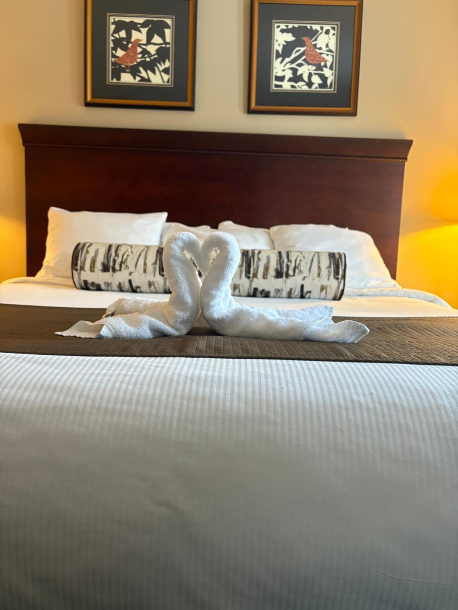 Апартаменты Margarita Vacation Getaway Oro-Medonte Экстерьер фото